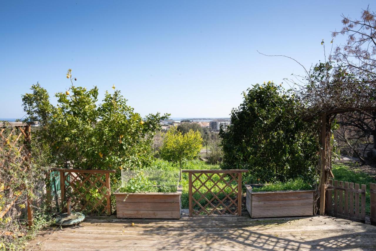Apartmán Corsica Fiurita Furiani Exteriér fotografie
